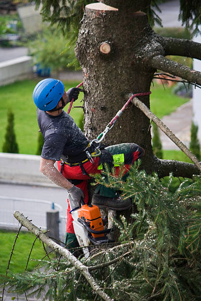Best Lawn Mowing  in Rm Beach, WA